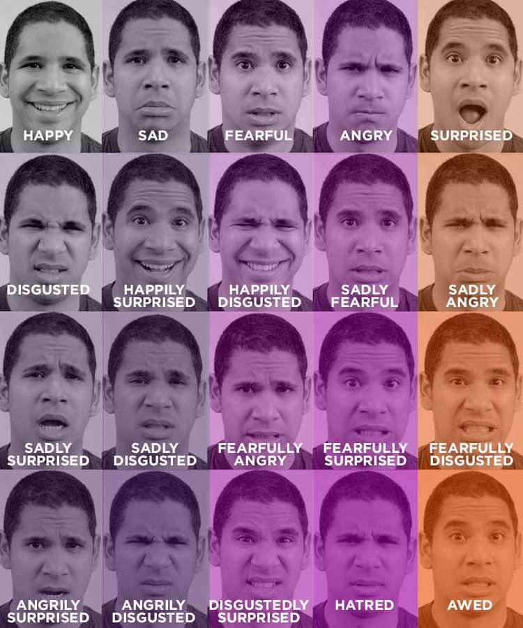 Scientists have identified 15 new emotions such
as "sadly surprised. Until recently, scientists
had only identified six basic human emotions:
happy, sad, fearful, angry, surprised and
disgusted.