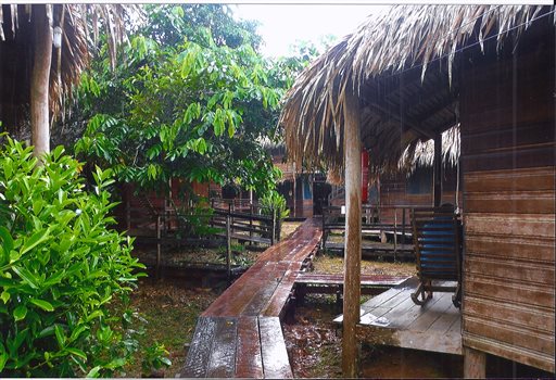 Manaus, puerta de entrada a la Amazonia