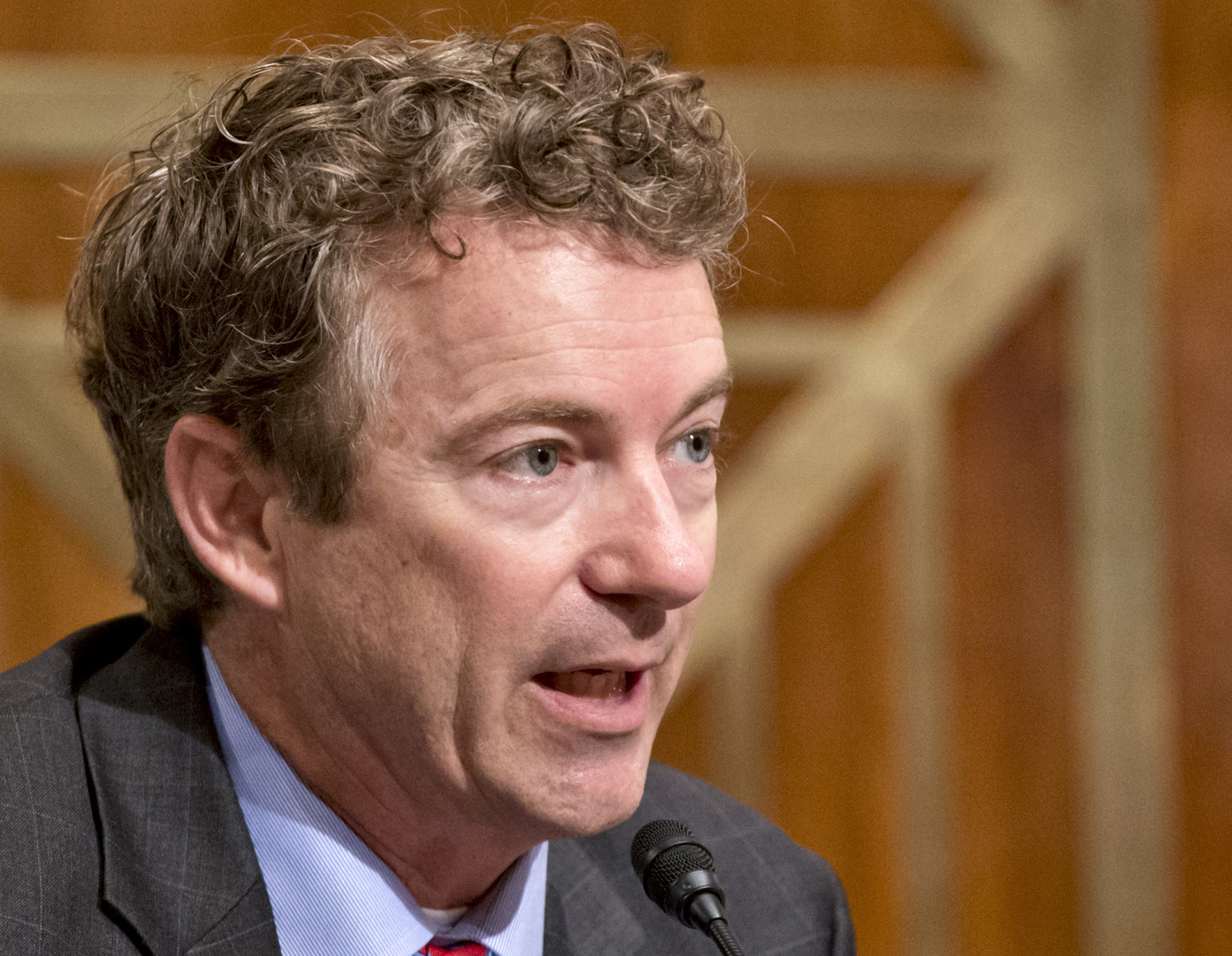 2016 campaign checklist: Paul
