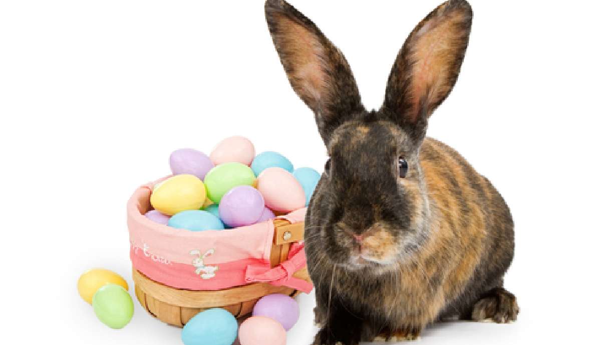 Family-friendly Easter activities across Utah