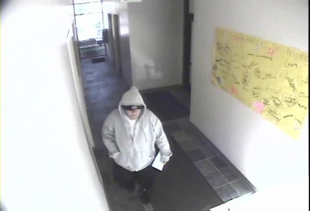 Police hope photos will help identify female credit union robber