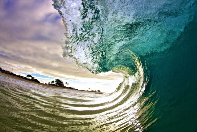 Risking his life for the perfect wave