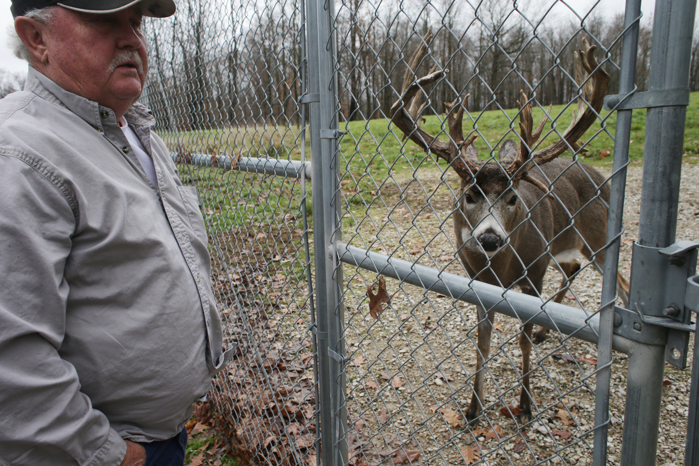 Indiana case inspires laws over captive deer hunts