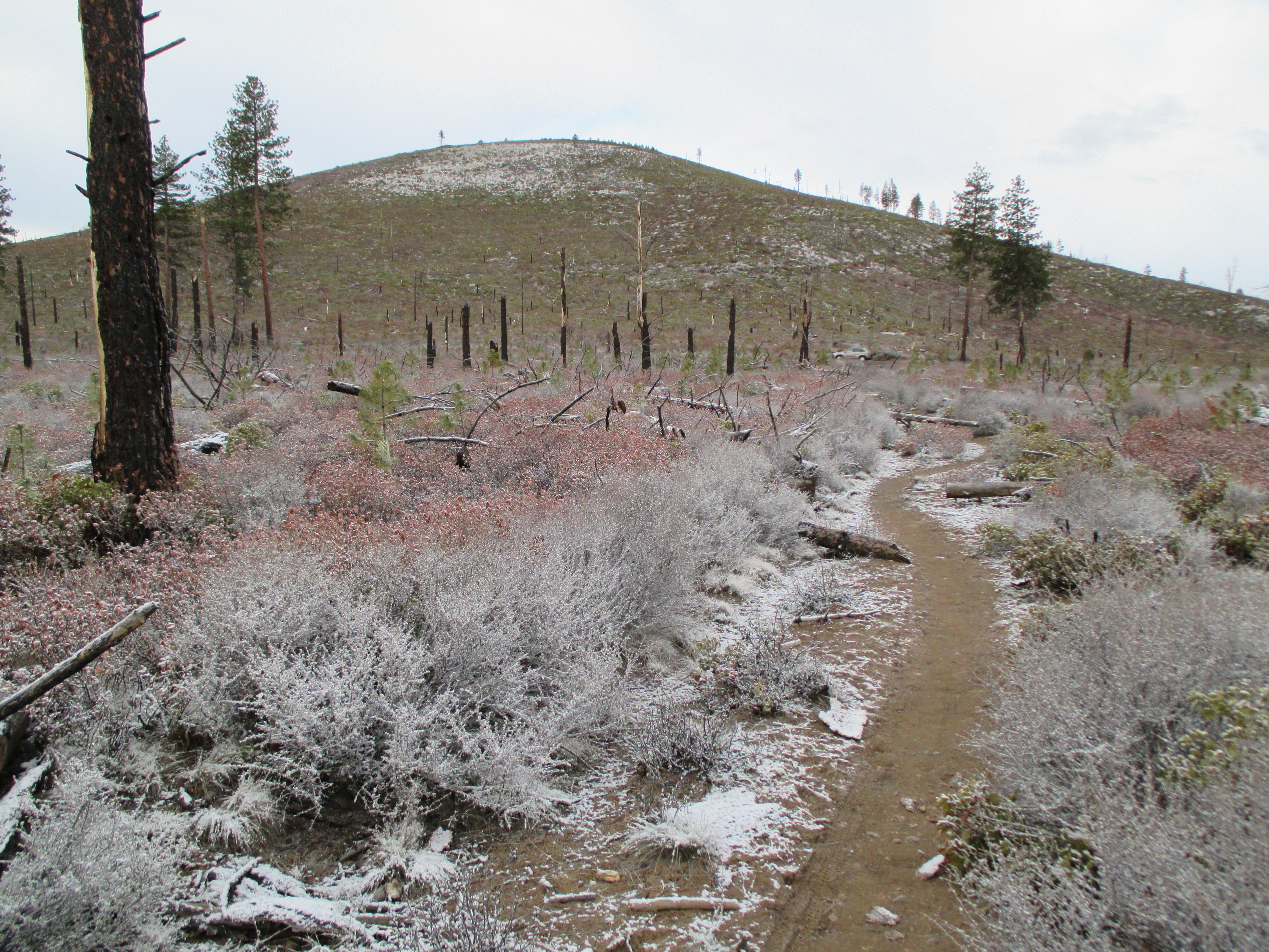Swamp Wells Trail near Bend a secret cycling gem
