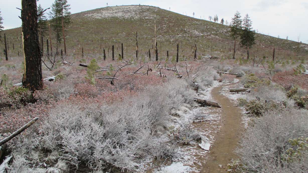 Swamp Wells Trail near Bend a secret cycling gem
