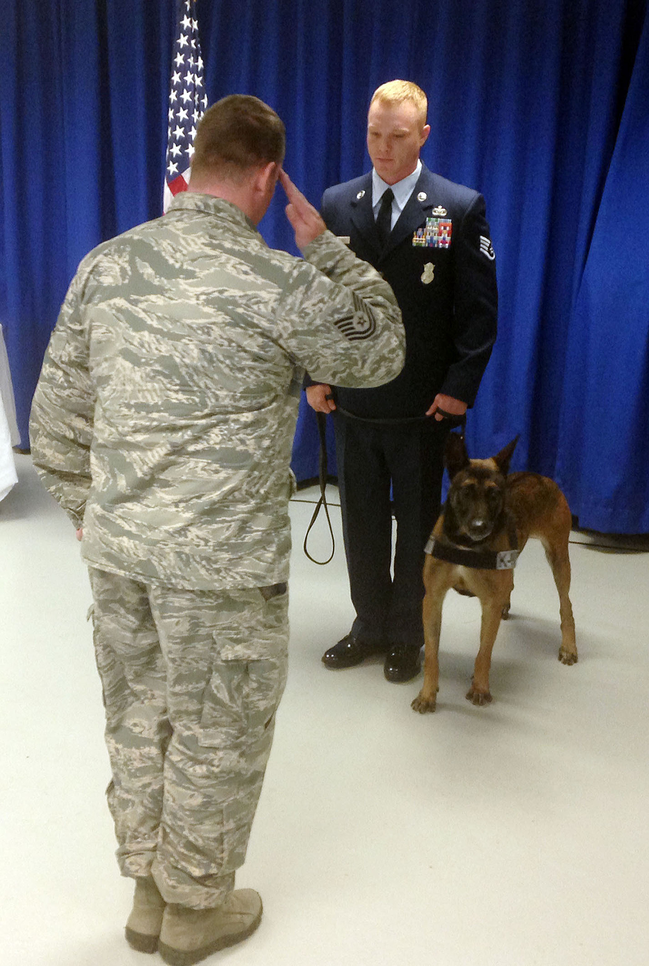 Tampa-based military dog retires with honors