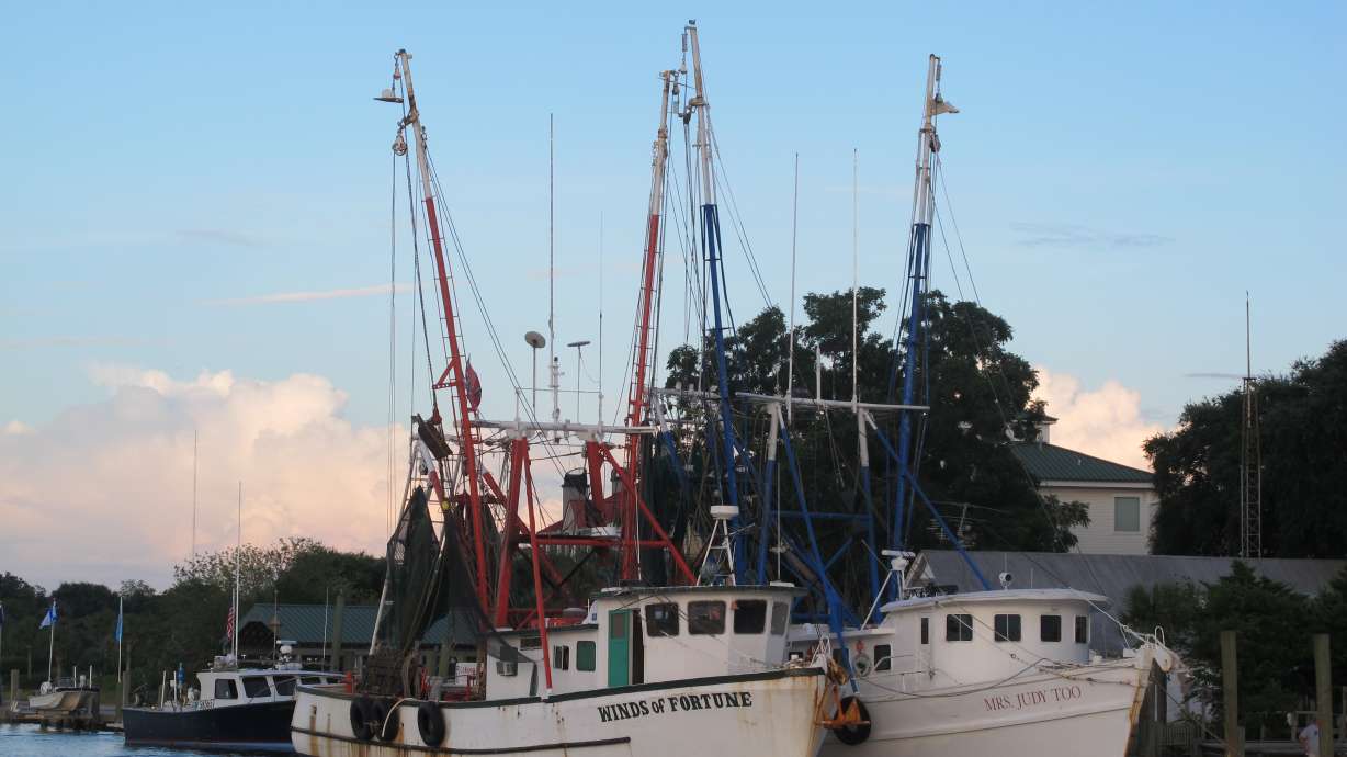 Lawmakers look to combat seafood fraud