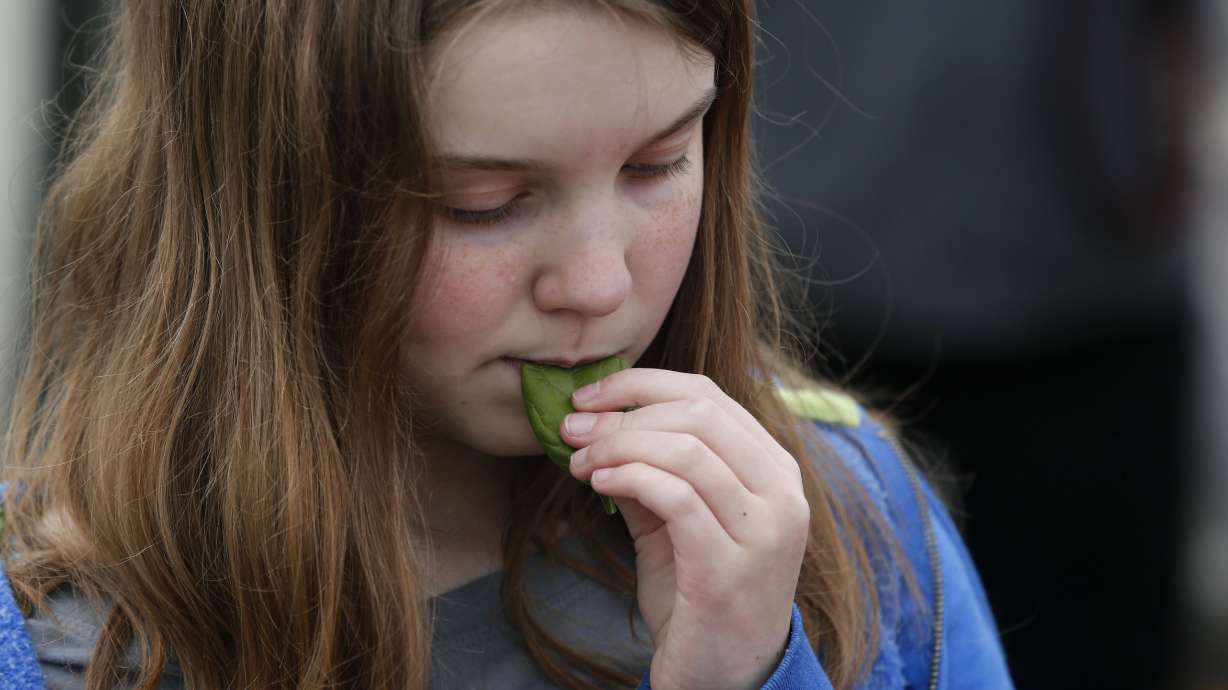 SE Iowa greenhouse captures industrial heat