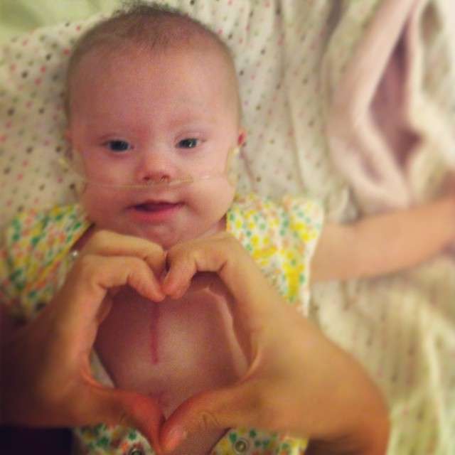 Zuzu the night before surgery.