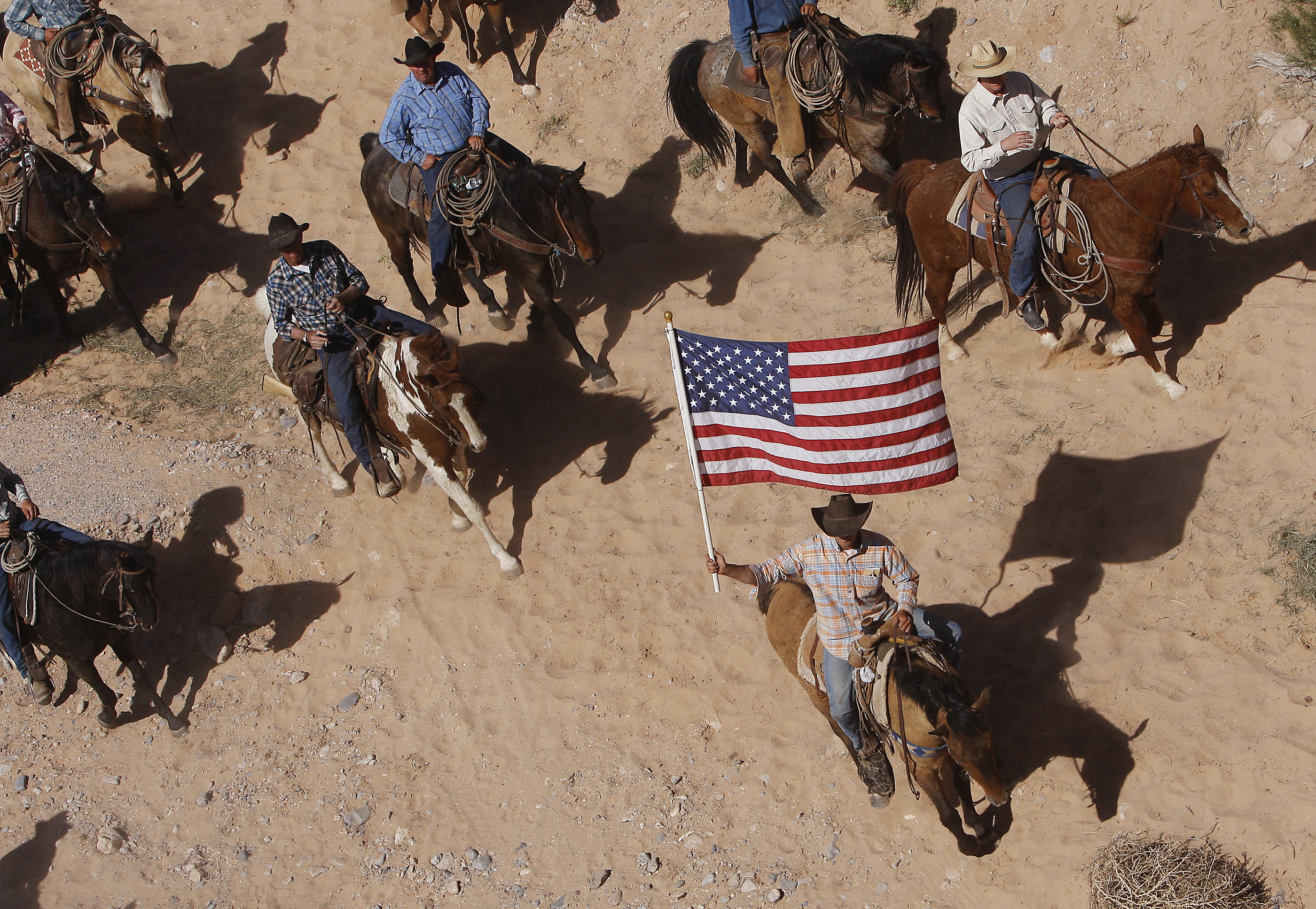 Feds: Safety concerns led to Nevada cow release