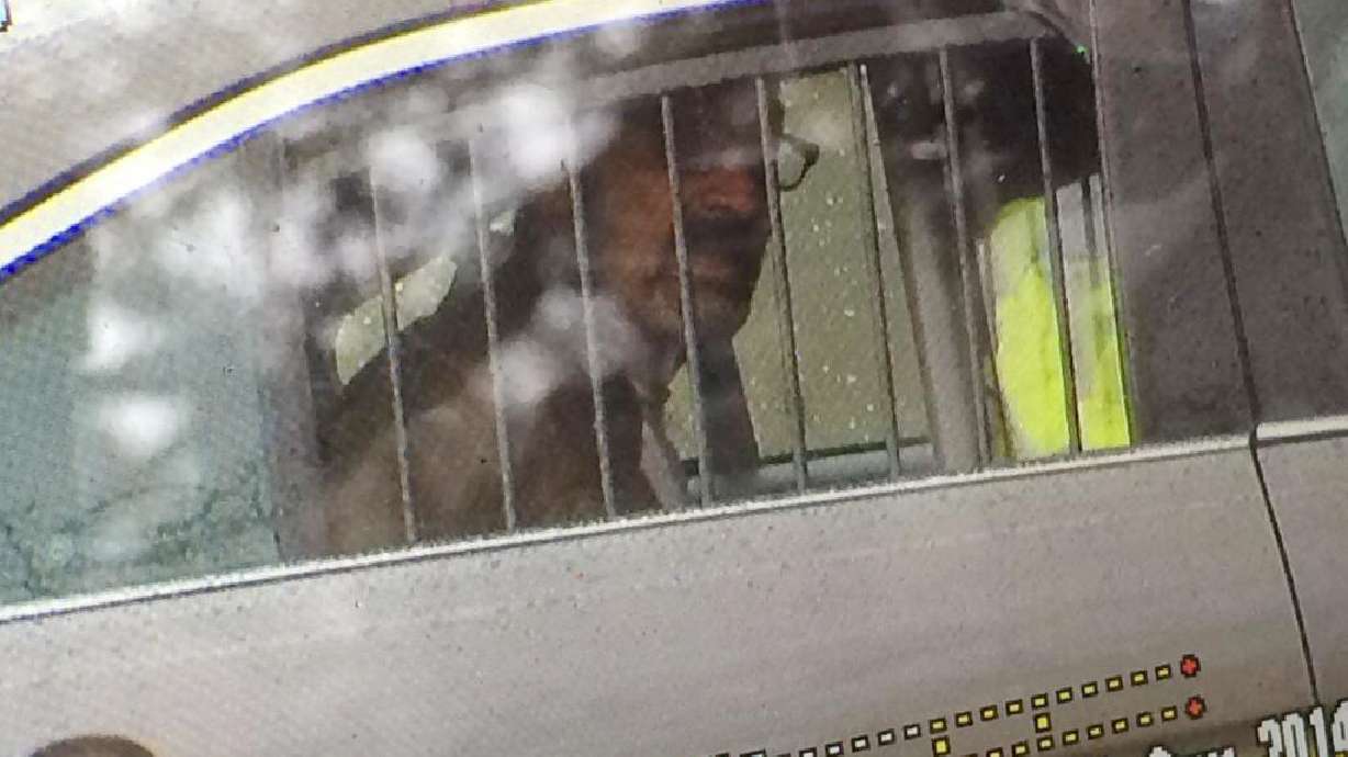 BC-AP News Digest 6 pm