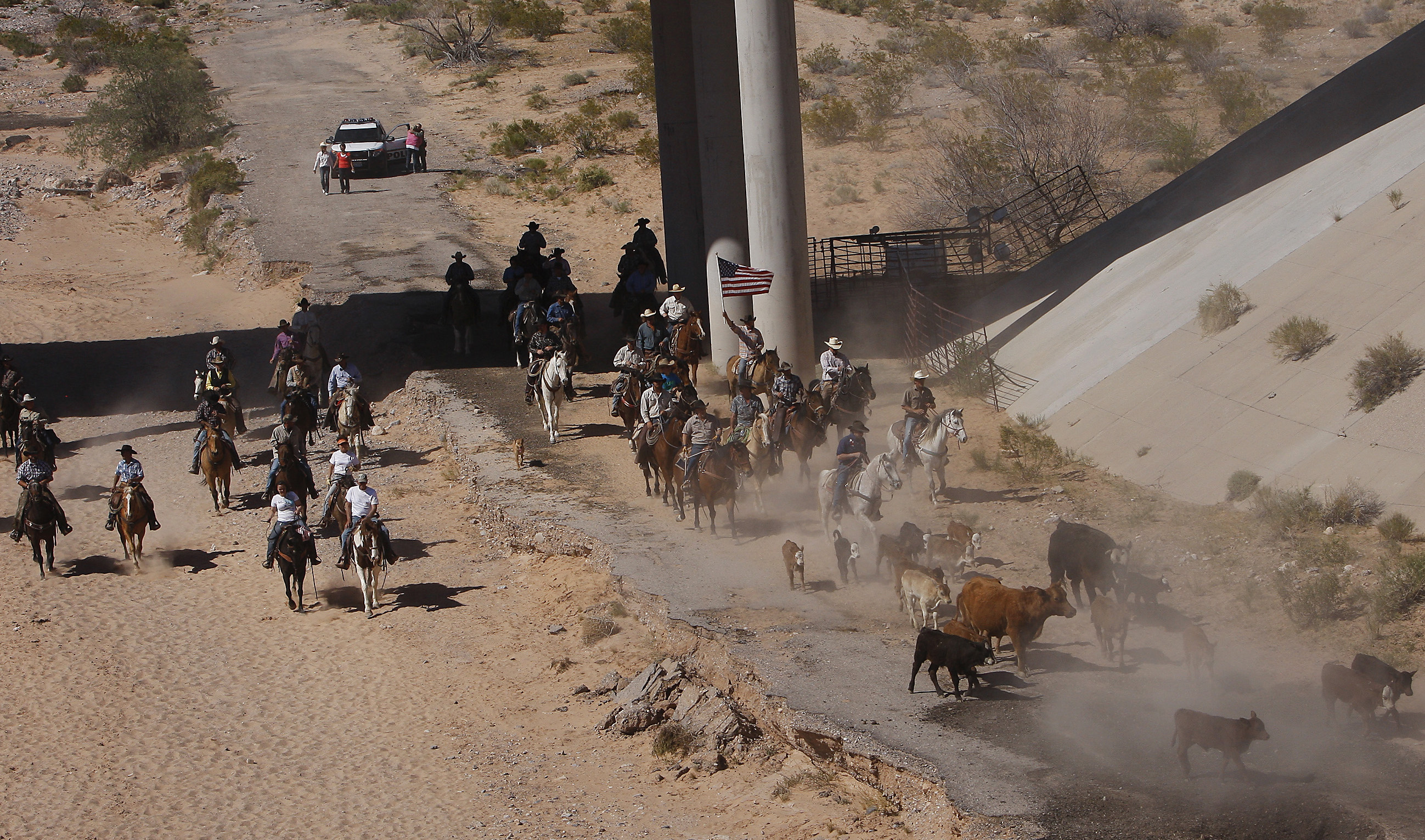 Rancher inspects cattle after showdown with feds