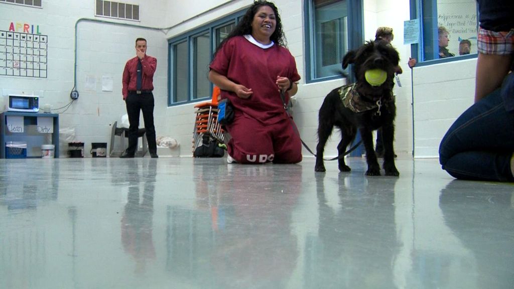 Prison Inmates Grateful For New Therapy Dog Training Program | KSL.com