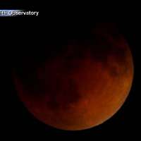 Blood moon: Sky gazers mesmerized as red hue lights up night sky