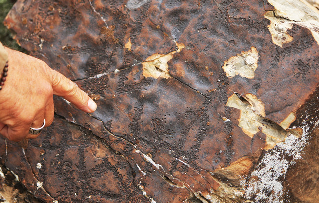 Damaged petroglyphs surround the area where
volunteers join Utah County, Utah School and
Institutional Trust Lands Administration
employees, and private landowners for a massive
seven-day cleanup in the Lake Mountain area
located south of Saratoga Springs and west of
Utah Lake Tuesday, April 15, 2014.