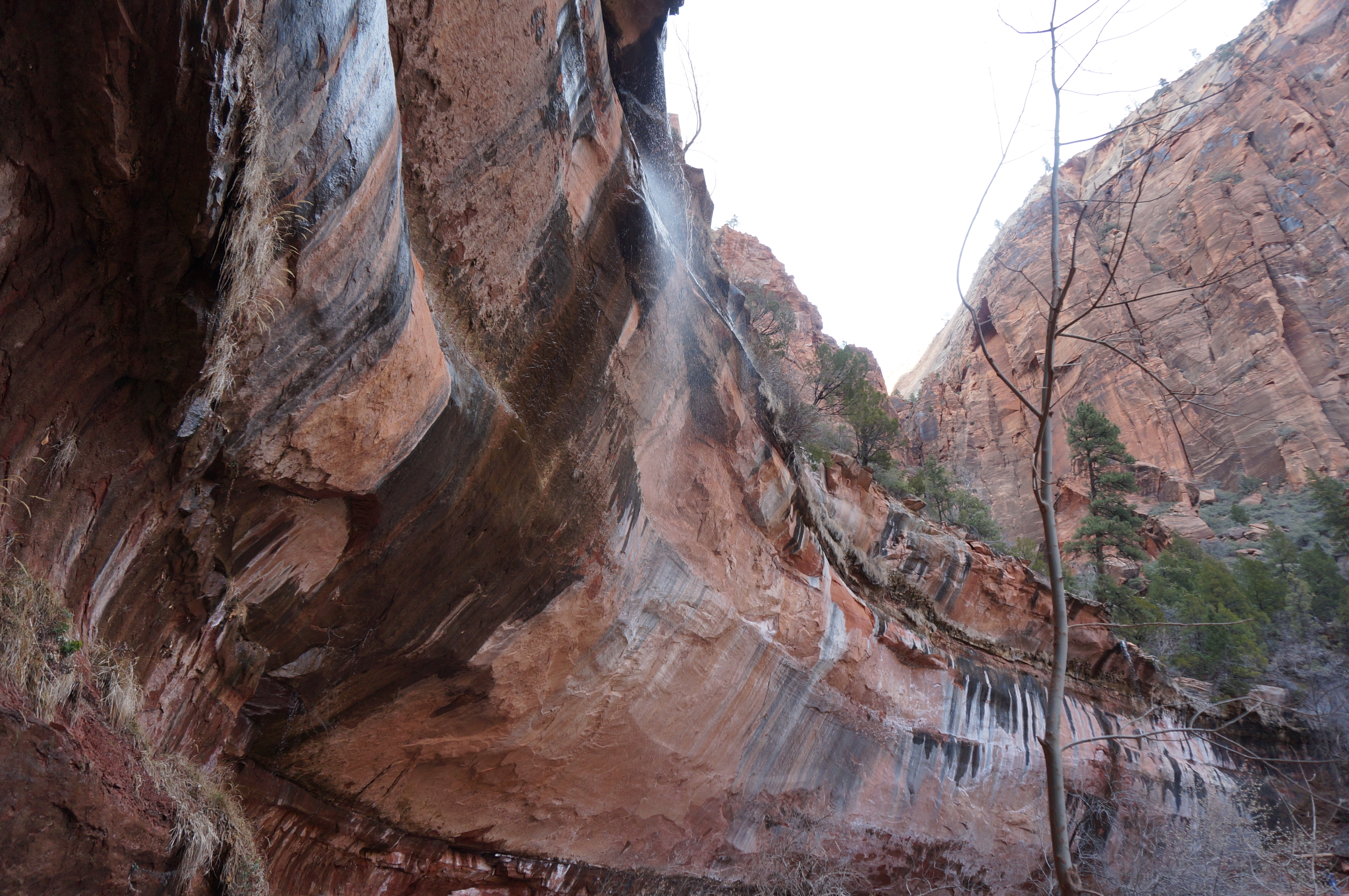 Emerald Pools Trail, Zion National ParkPhoto Credit: Author