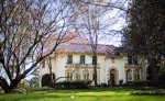 story image