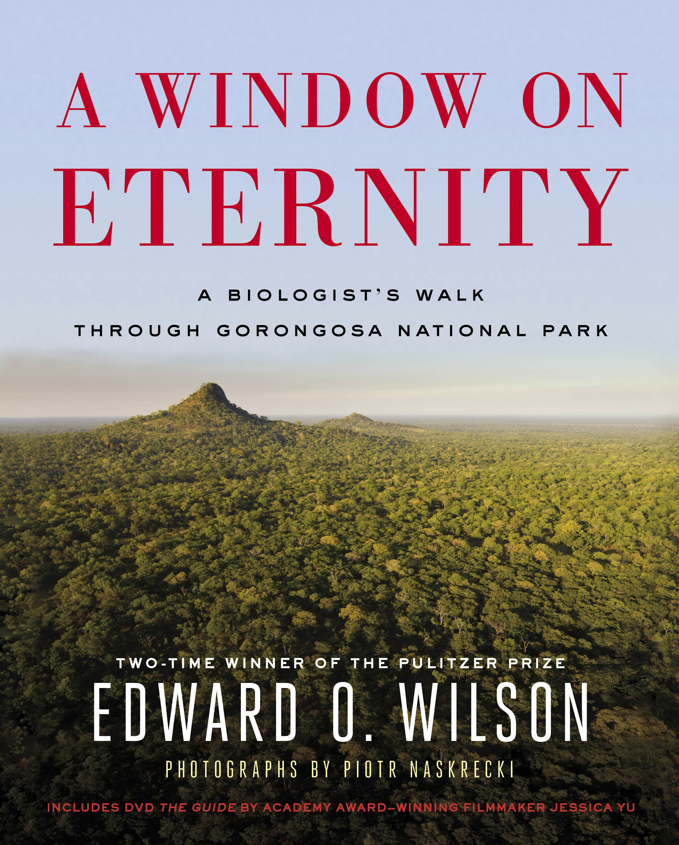'A Window on Eternity' finds joy in African park