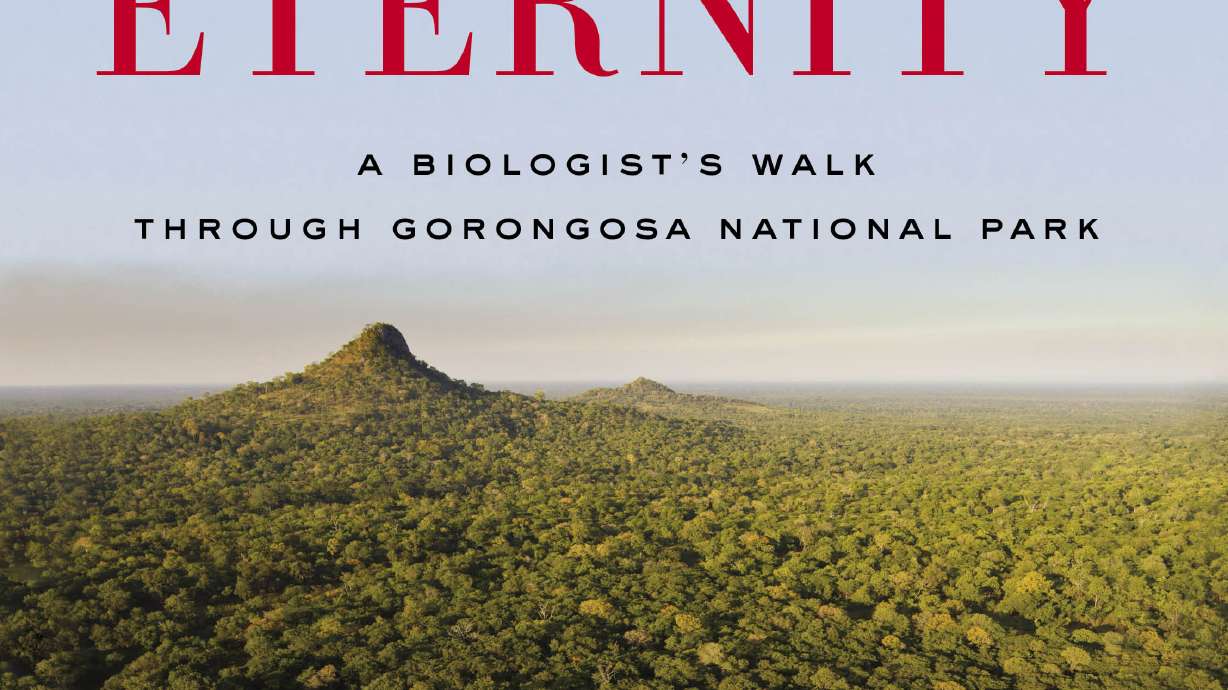 'A Window on Eternity' finds joy in African park