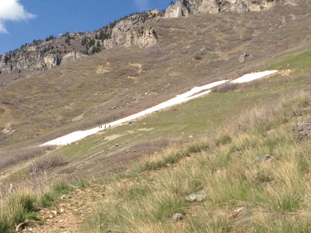 Hike of the Week: Y Mountain