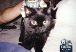 Former Pro-Wrestler Appeals to Utahns for Help