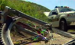 Man Pleads Guilty in Hit-and-Run Accident