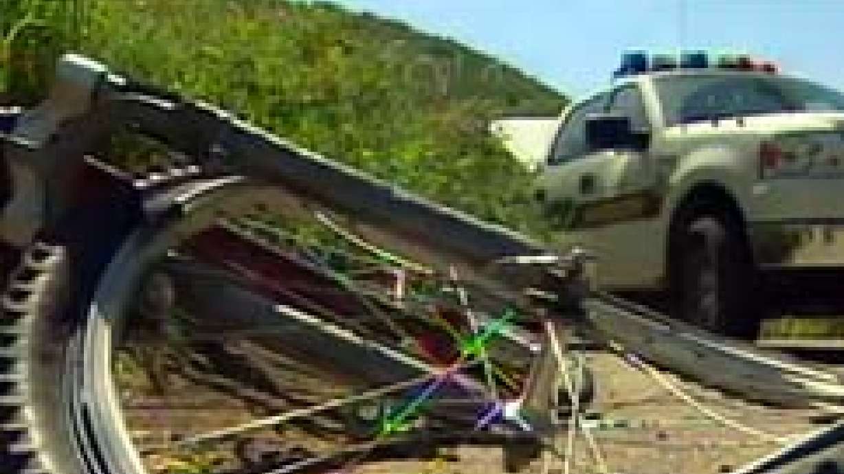 Man Pleads Guilty in Hit-and-Run Accident