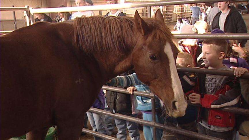 Utah County Kids go to the Farm for some Hands-on Learning