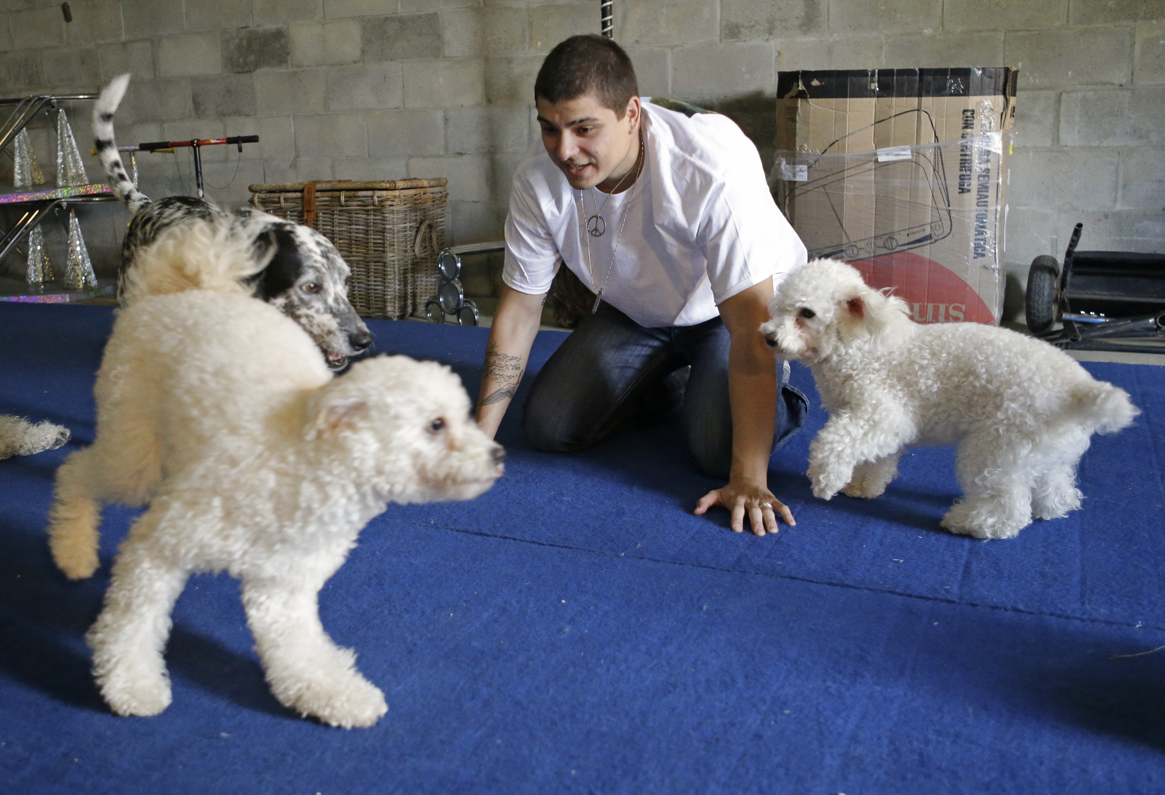 Performing dogs go big after $1 million TV prize