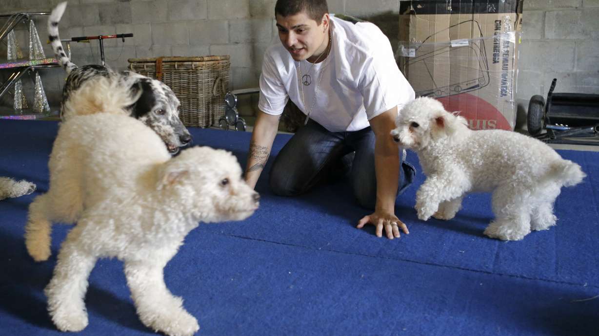Performing dogs go big after $1 million TV prize