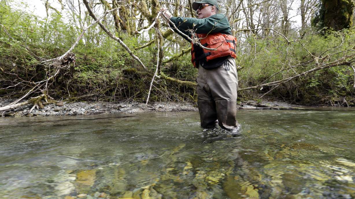 Biologists watching fish runs after deadly slide