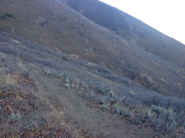 Hike of the Week: Thousand Oaks 