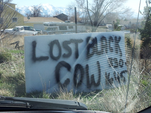 'Dude, where's my cow?' sign posted to find missing bovine