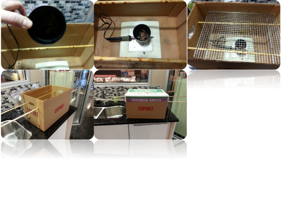 Ask a Chef: How to cure your own bacon