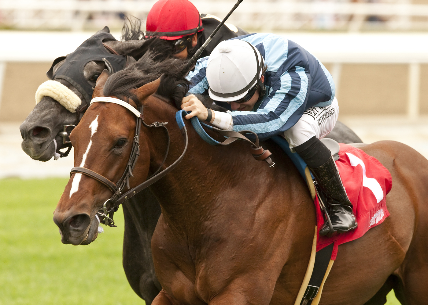Quick Casablanca wins Last Tycoon at Santa Anita