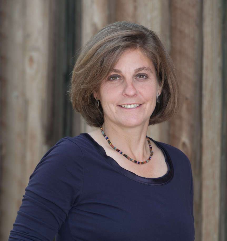 In the 1st Congressional District, Donna McAleer won the nomination over Peter Clemens 66.3 percent to 33.6 percent after two rounds of voting. (Photo: McAleer campaign)