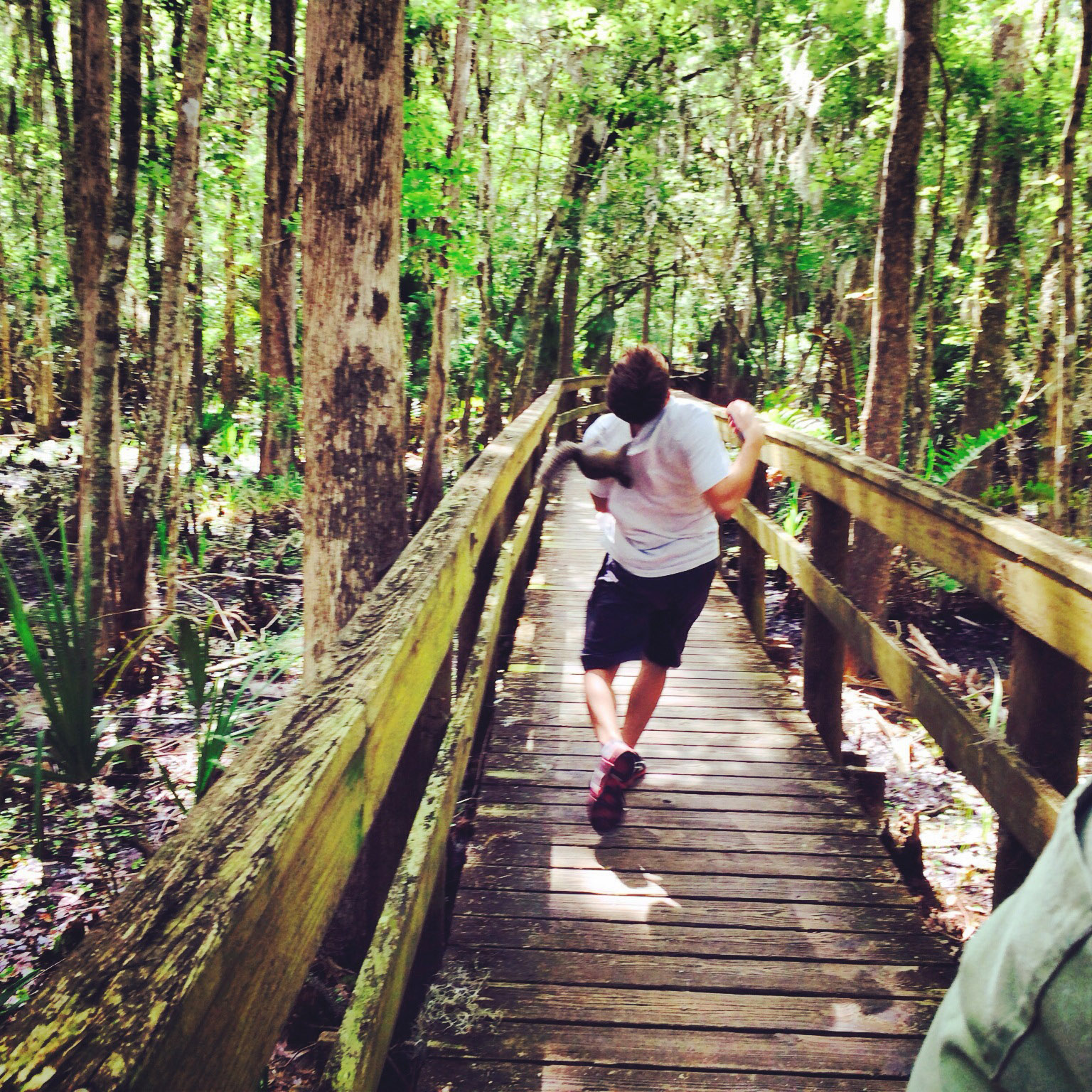 Squirrel goes nuts on Maine teenager taking selfie