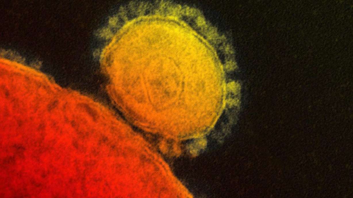 1st American MERS patient may leave hospital soon
