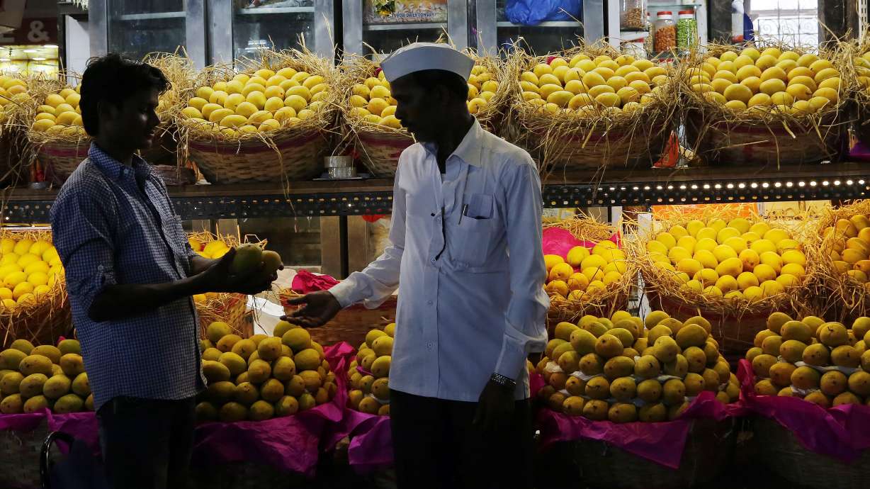 Indians feast on top-quality mangoes after EU ban