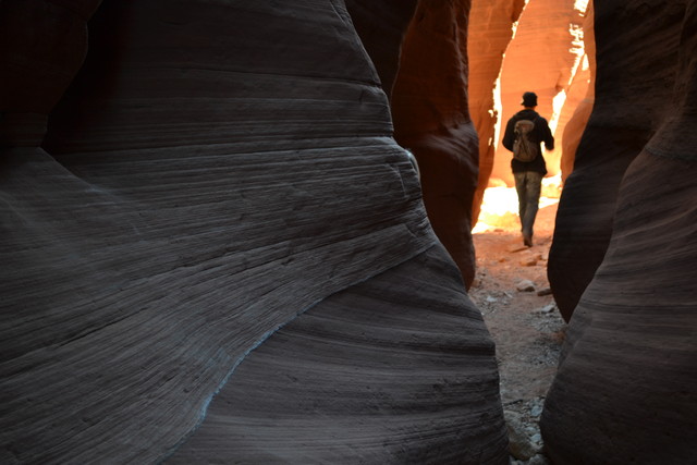 A hiker, deep in Wire Pass' interior in Buckskin Gulch.