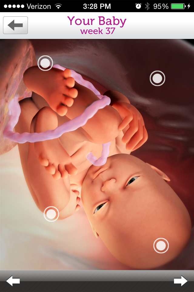 Review: Pregnancy apps track baby, mom's progress