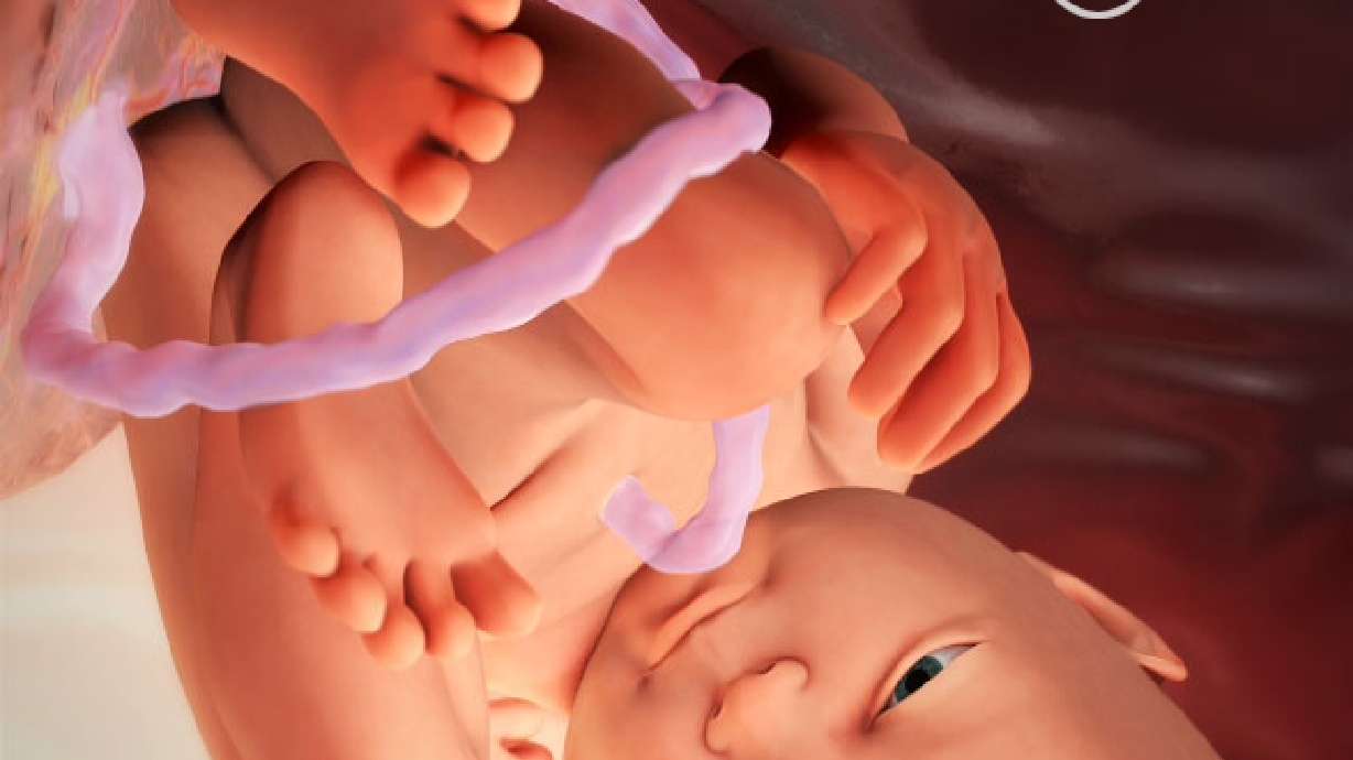 Review: Pregnancy apps track baby, mom's progress