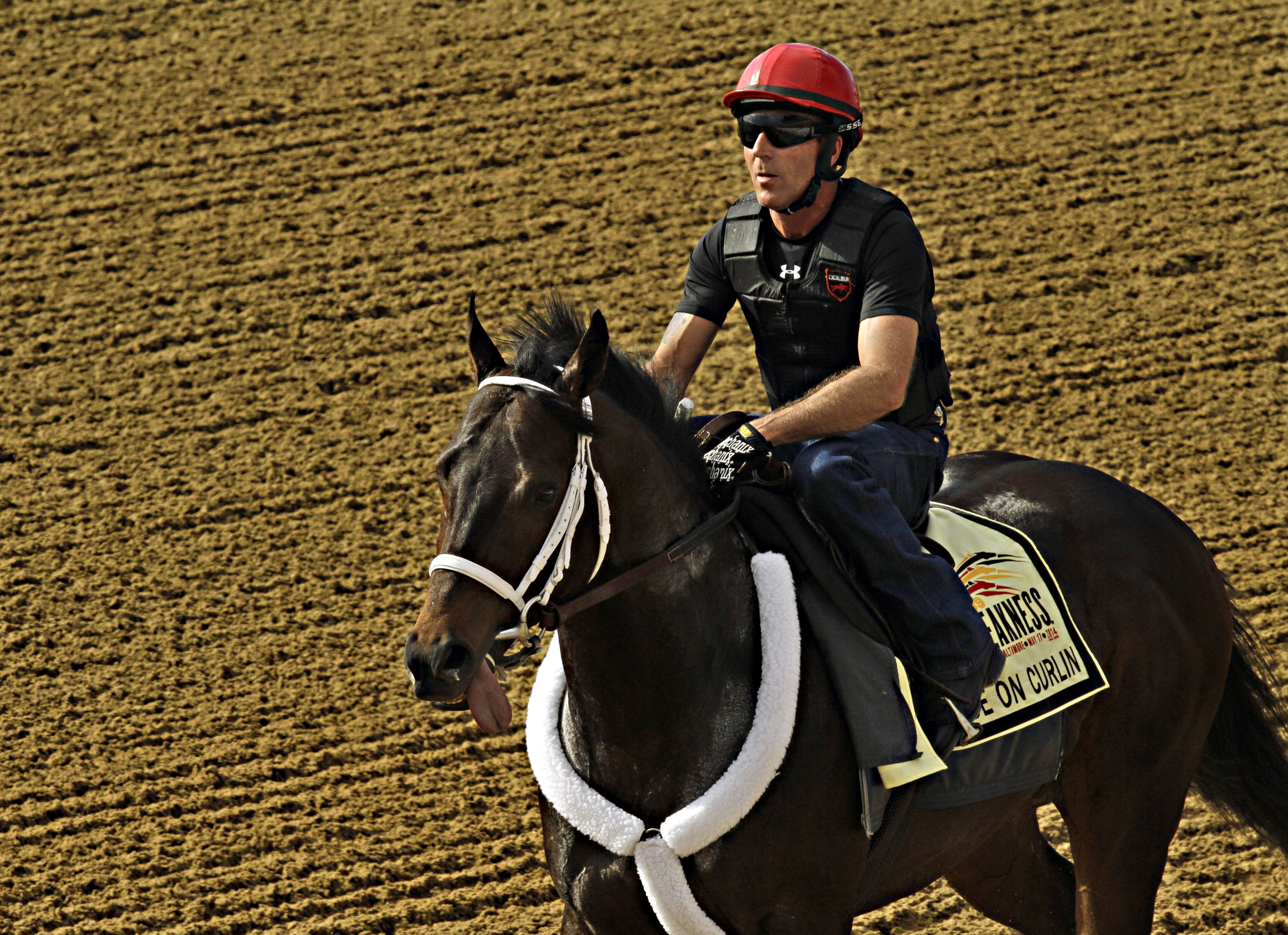 Ride on Curlin gallops strongly in Preakness prep