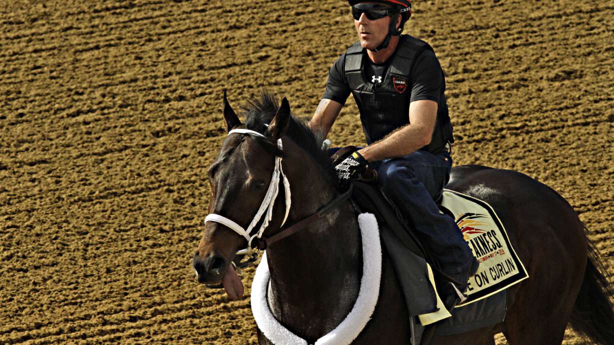 Ride on Curlin gallops strongly in Preakness prep