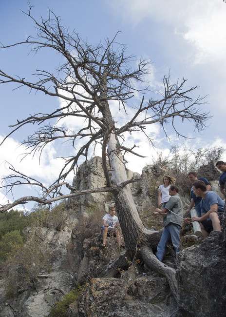 Matt Bekker researches tree rings to determine drought history on
Sept. 10, 2012.