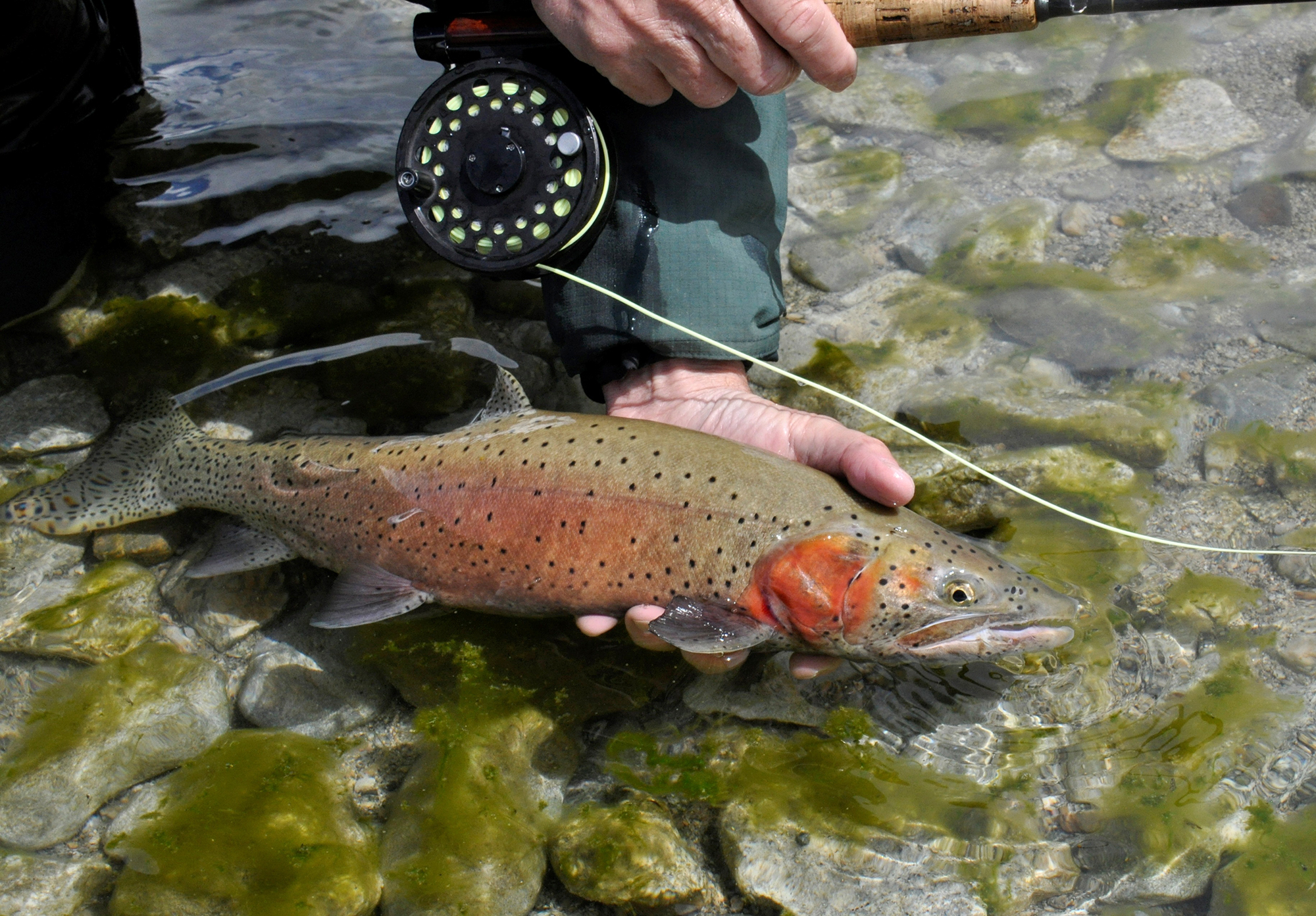 Uncrowded fishing on lakes of Colville Reservation