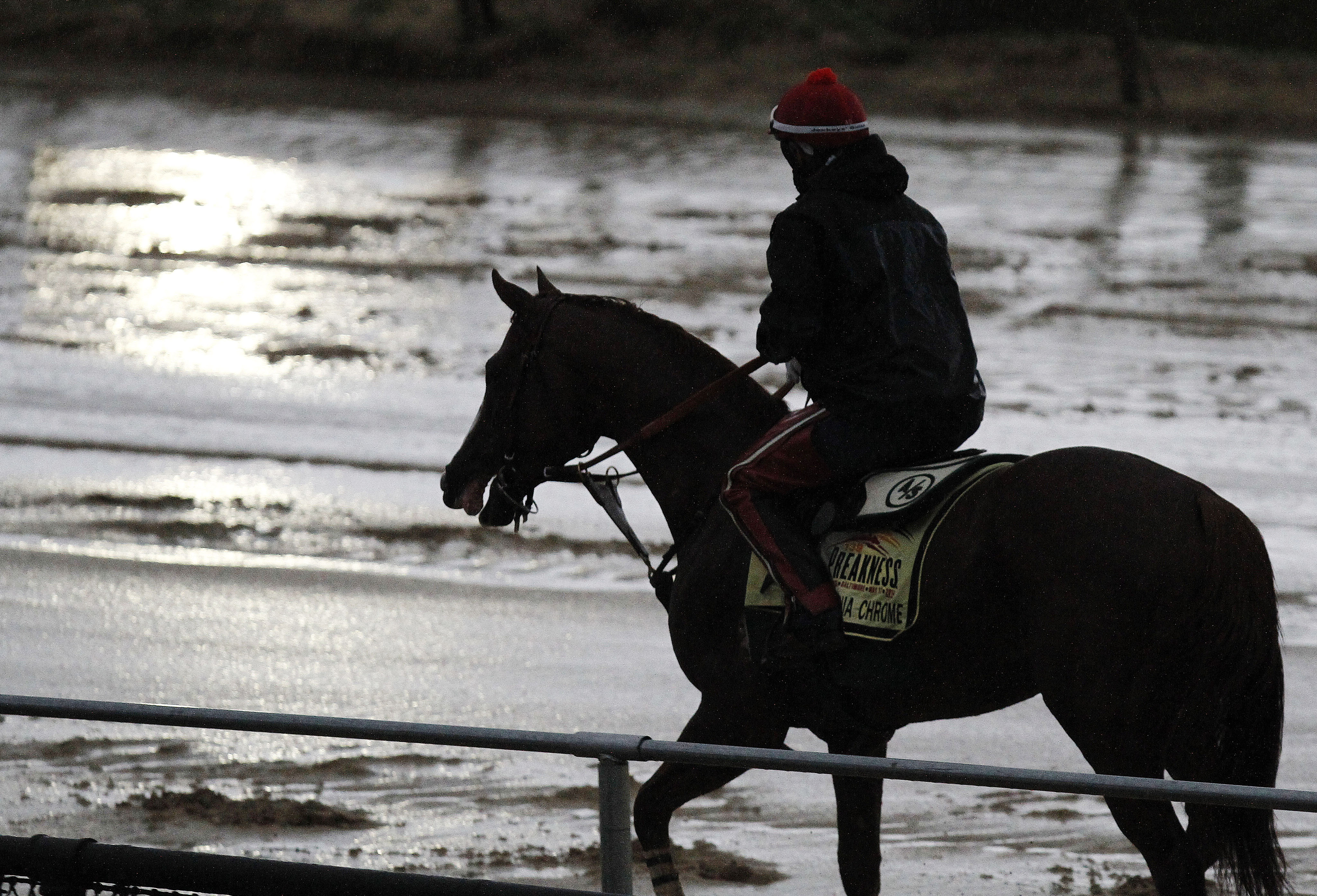 Here are 5 things to know about the Preakness