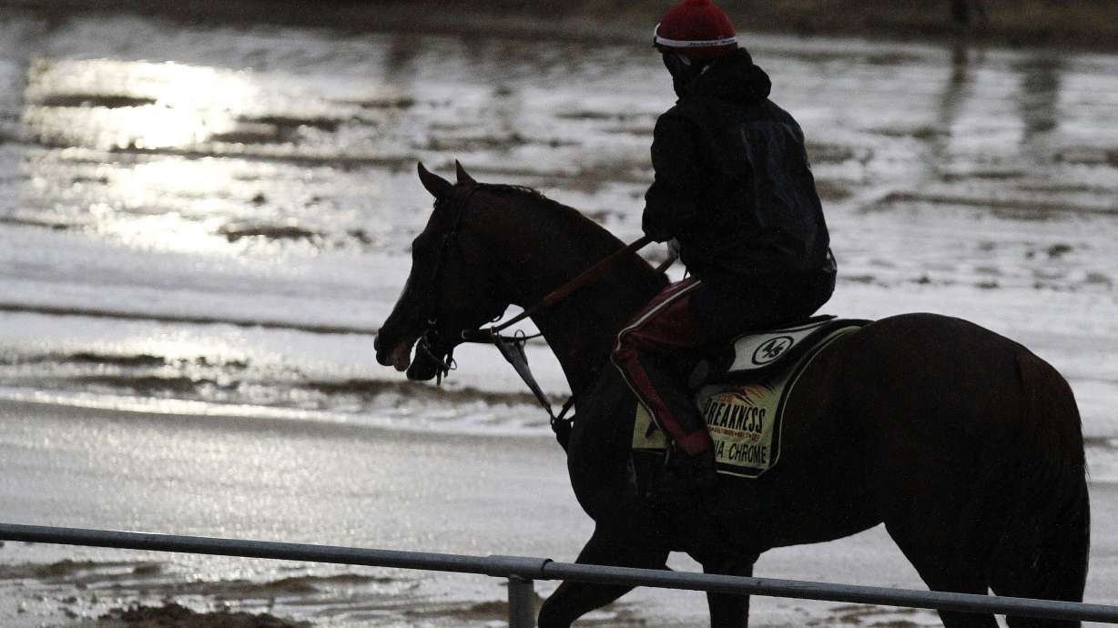 Here are 5 things to know about the Preakness