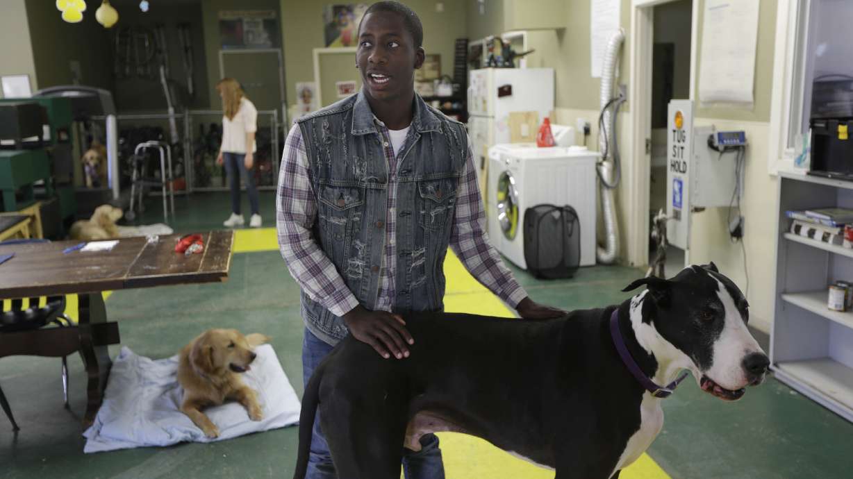 Group care for foster kids: Critics seek phase-out