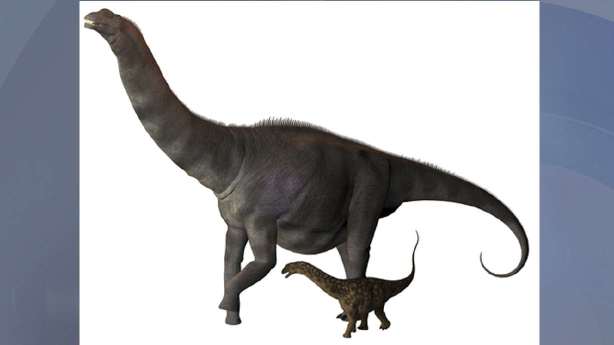 As heavy as 14 elephants, as long as 2 tractor trailers: Meet Mr. Titanosaur